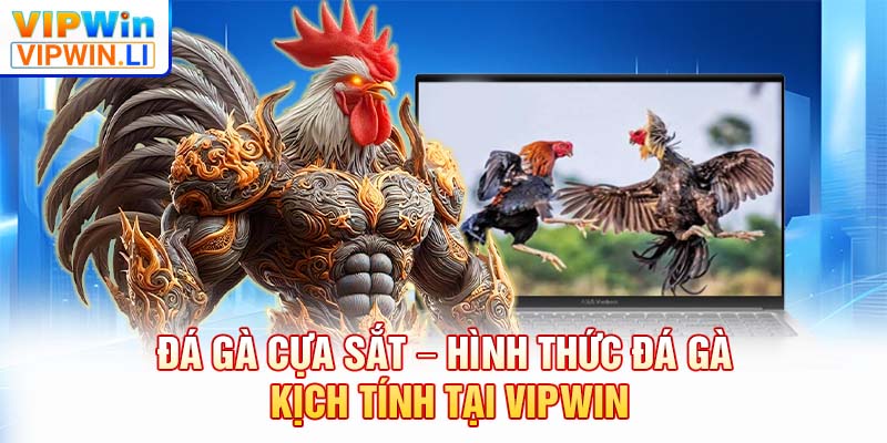 đá gà cựa sắt