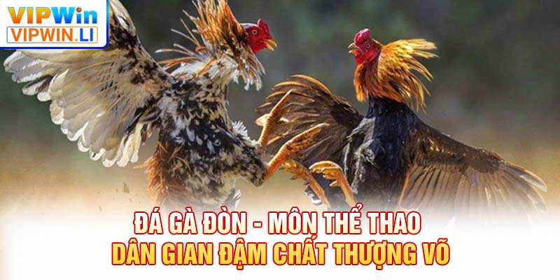 Đá gà đòn