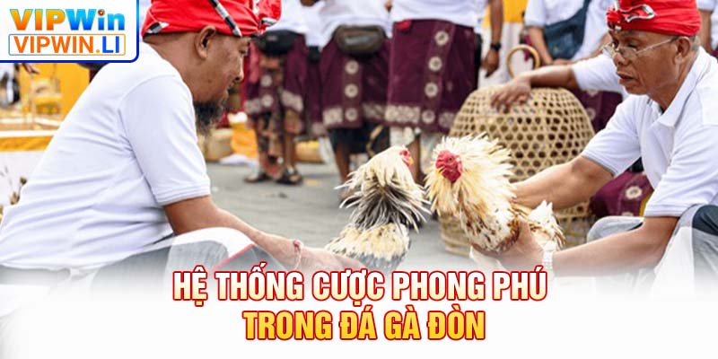 Hệ thống cược phong phú trong đá gà đòn
