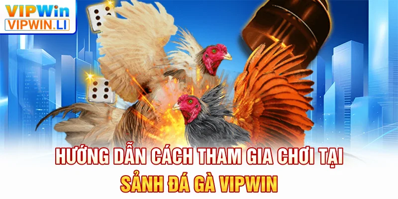 Hướng dẫn cách tham gia chơi tại sảnh đá gà VIPWIN
