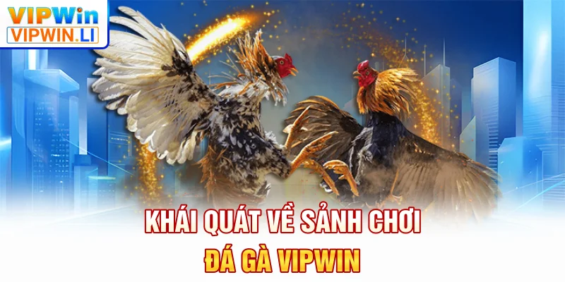 Khái quát về sảnh chơi đá gà VIPWIN