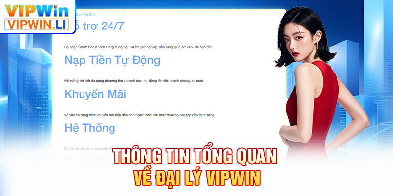 Thông tin tổng quan về đại lý VIPWIN