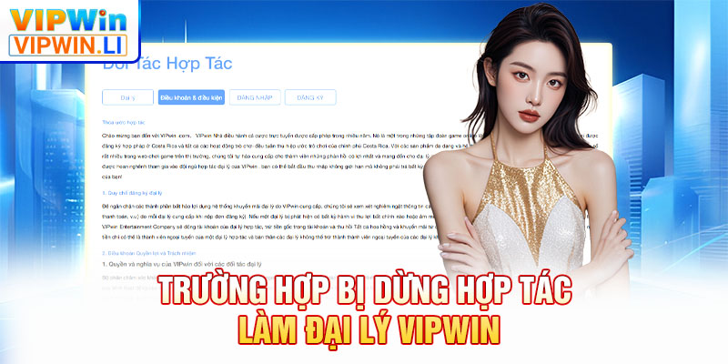 Trường hợp bị dừng hợp tác làm đại lý VIPWIN